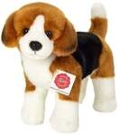 Teddy Hermann 919919 - Beagle stehend, 23 cm, Pl&uuml;schtier