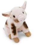 NICI - Kuscheltier Schwein 20cm