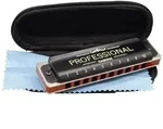 Professional Blues Harmonica in Bb (incl. case and cleaning cloth)
