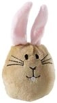 Hase