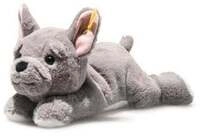Brie Franzoesische Bulldogge 24 grau