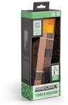 Minecraft Torch Collector