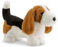 Borealis Duke Basset Hound