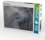 CALVENDO Puzzle begegnung im tembe elephant park, s&uuml;dafrika 1000 Teile Lege-Gr&ouml;&szlig;e