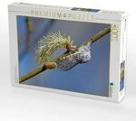 CALVENDO Puzzle Gro&szlig;er Gabelschwanz (Cerura vinula) 1000 Teile Lege-Gr&ouml;&szlig;e 64x48cm