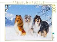 CALVENDO Puzzle Drei Collie-Prachtr&uuml;den 2000 Teile Lege-Gr&ouml;&szlig;e 90x67cm...