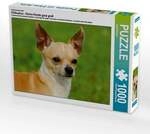 CALVENDO Puzzle Ein Motiv aus dem Kalender Chihuahua - Kleine Hunde ganz gro&szlig;...