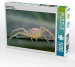 CALVENDO Puzzle Krabbenspinne 1000 Teile Lege-Gr&ouml;&szlig;e 64x48cm Foto-Puzzle f&uuml;r