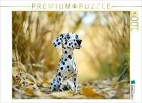 CALVENDO Puzzle Ein Motiv aus dem Kalender"Wenn Papier zum Leben erwacht" 1000 Teile