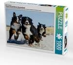 CALVENDO Puzzle Ein Motiv aus dem Kalender Treuer Freund Berner Sennenhund 1000 Teile