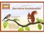 Das kleine Eichh&ouml;rnchen / Kamishibai Bildkarten