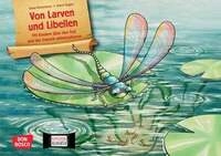 Von Larven und Libellen. Mit Kindern &uuml;ber den Tod und das Danach philosophieren.