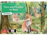 Tiere und Pflanzen im Wald. Kamishibai Bildkartenset
