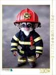 CALVENDO Puzzle Ein Motiv aus dem Kalender Feuerwehr - Tierischer Feuerwehrkalender
