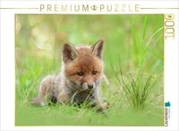 CALVENDO Puzzle Ein Motiv aus dem Kalender F&uuml;chse - zauberhafte Seelen 1000 Teile