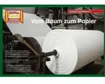 Vom Baum zum Papier / Kamishibai Bildkarten