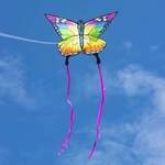 Ecoline: Butterfly Kite Rainbow 120 cm