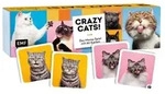 Memo-Spiel: Crazy cats!