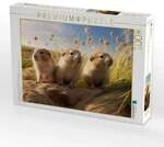 CALVENDO Puzzle Ein Motiv aus dem Kalender "Nach Art der Lemminge" 1000 Teile