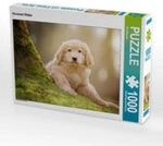 CALVENDO Puzzle Hovawart Welpe 1000 Teile Lege-Gr&ouml;&szlig;e 64x48cm Foto-Puzzle f&uuml;r