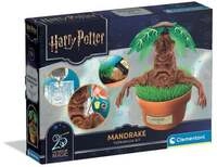 Harry Potter - Alraune