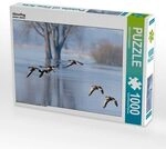 CALVENDO Puzzle G&auml;nseflug 1000 Teile Lege-Gr&ouml;&szlig;e 64x48cm Foto-Puzzle f&uuml;r