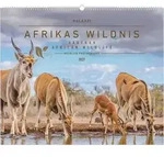 Hautnah - Afrikas Wildnis 2027