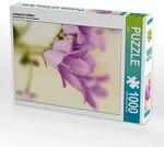 CALVENDO Puzzle campanula bl&uuml;ten 1000 Teile Lege-Gr&ouml;&szlig;e 64x48cm Foto-Puzzle...