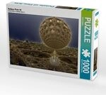 CALVENDO Puzzle Rohbau Pluto VII 1000 Teile Lege-Gr&ouml;&szlig;e 64x48cm Foto-Puzzle...