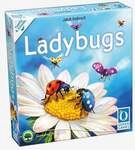 Ladybugs