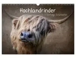 Hochlandrinder - Zottelige Sch&ouml;nheiten (Wandkalender 2027 DIN A3 quer),...