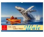 Wale - ein Jahr voller Meer (Wandkalender 2027 DIN A2 quer), CALVENDO...