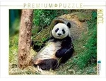 CALVENDO Puzzle Niedlicher Panda 1000 Teile Lege-Gr&ouml;&szlig;e 64 &times; 48 cm...