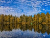 CALVENDO Puzzle Uferlandschaft Moorteich mit Fischerboot - Pfrunger-Burgweiler Ried