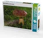 CALVENDO Puzzle Maronen-R&ouml;hrling (Imleria badia) 1000 Teile Lege-Gr&ouml;&szlig;e 64 &times;...