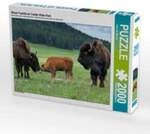 CALVENDO Puzzle Bison Familie im Custer State Park 2000 Teile Lege-Gr&ouml;&szlig;e 90 &times; 67
