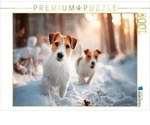 CALVENDO Puzzle Jack Russell Terrier - Winterfreunde auf Entdeckungstour 1000...