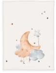 Klaus Hering 1440290014 - babybest&reg; Microfaserflausch-Decke, Moon and Stars, 75x100
