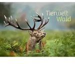 Tierwelt Wald Kalender 2027