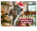 Katzen - Jeder Moment ein Abenteuer (Wandkalender 2027 DIN A4 quer), CALVENDO