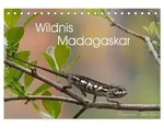 Wildnis Madagaskar (Tischkalender 2027 DIN A5 quer), CALVENDO Monatskalender