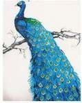 Diamond Dotz Blauer Pfau