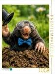 CALVENDO Puzzle Tata - Fasching 1000 Teile Lege-Gr&ouml;&szlig;e 64 &times; 48 cm Foto-Puzzle...