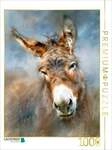 CALVENDO Puzzle Esel, ein liebenswerter Blick und ein stiller Moment auf vier...