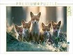 CALVENDO Puzzle Neugierig ins Leben 1000 Teile Lege-Gr&ouml;&szlig;e 64 &times; 48 cm...