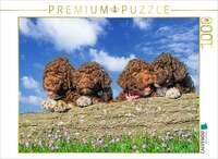 CALVENDO Puzzle Kleine Weltentdecker 1000 Teile Lege-Gr&ouml;&szlig;e 64 &times; 48 cm...