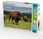 CALVENDO Puzzle Bison Familie im Custer State Park 2000 Teile Lege-Gr&ouml;&szlig;e 90 &times; 67