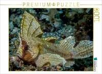 CALVENDO Puzzle Schaukelfisch 1000 Teile Lege-Gr&ouml;&szlig;e 64 &times; 48 cm Foto-Puzzle...