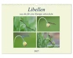 Libellen, was die f&uuml;r eine Energie entwickeln. (Wandkalender 2027 DIN A3 quer),