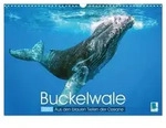Buckelwale: Aus den blauen Tiefen der Ozeane (Wandkalender 2027 DIN A3 quer),